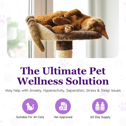 Purrfect Calm Diffuser